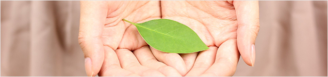 体験者の改善事例