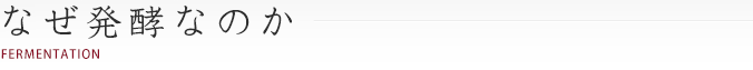 なぜ発酵なのか