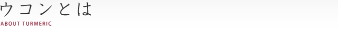ウコンとは